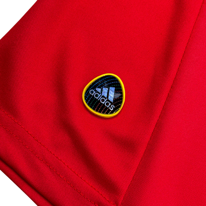 España Local 2010