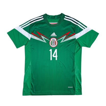 México Local 2014