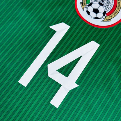 México Local 2014