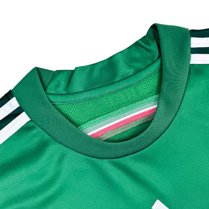 México Local 2014